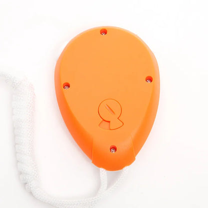 Electronic Stopwatch