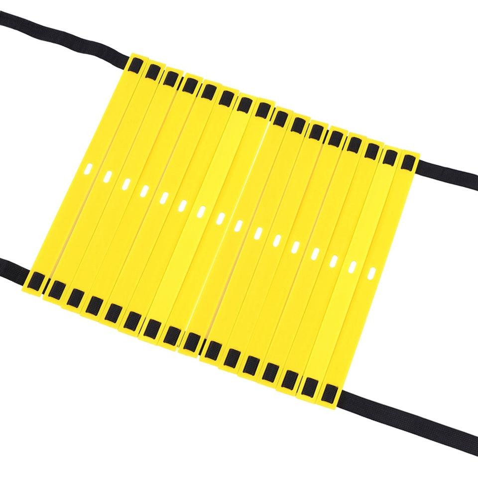 Agility Training Ladder