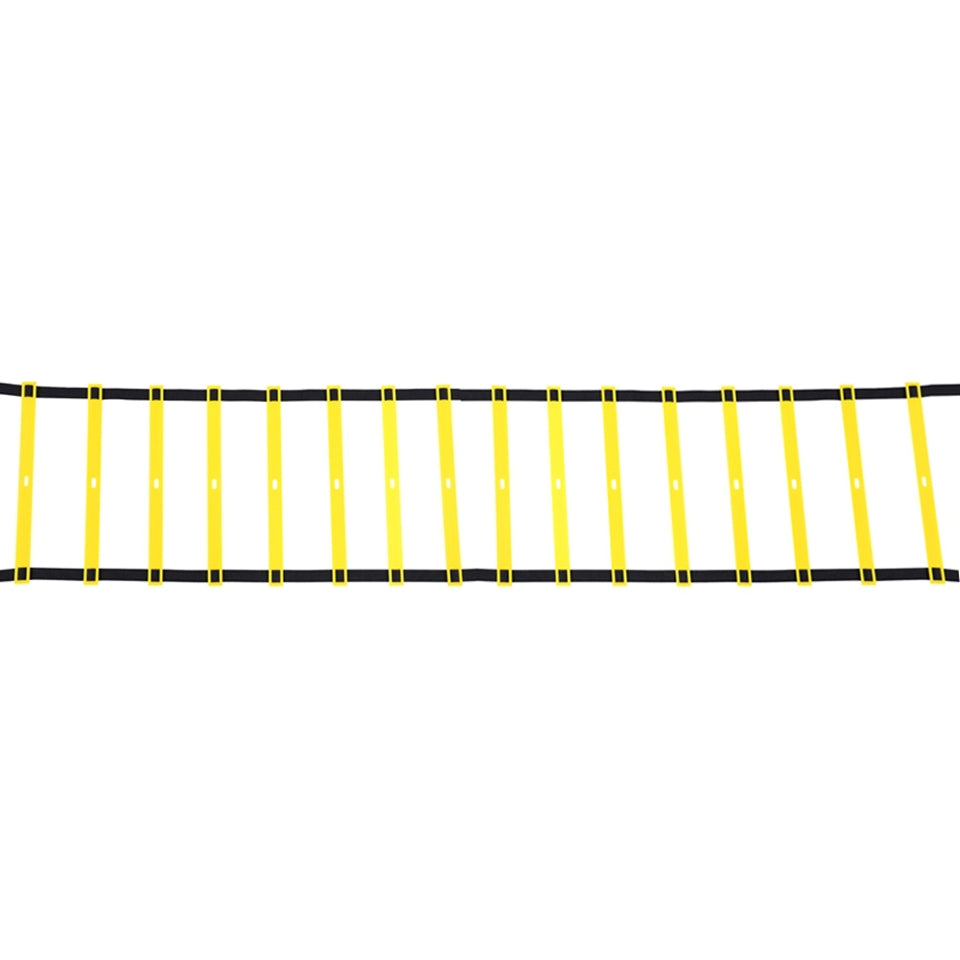 Agility Training Ladder